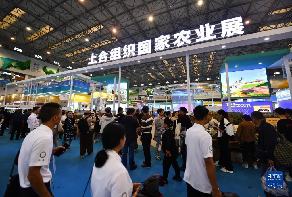 扑鱼游戏网